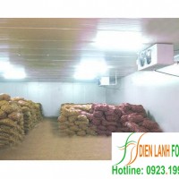 lắp đặt kho lạnh nông sản