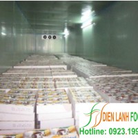 kho lạnh thực phẩm