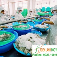 kho lạnh thủy sản