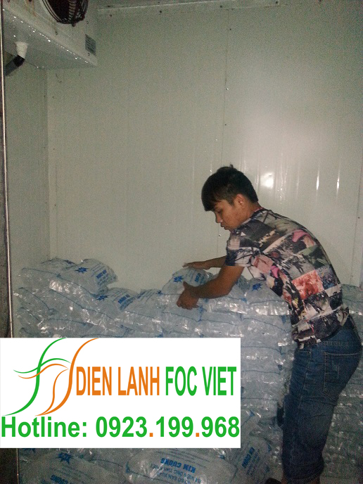 dịch vụ lắp đặt kho lạnh bảo quản đá viên