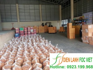 Phương pháp thu hoạch và bảo quản nhãn – Kho lạnh bảo quản nhãn