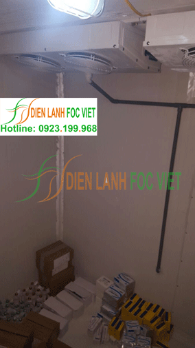 lắp kho lạnh bảo quản vacxin