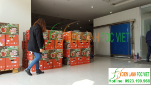 Lắp đặt kho lạnh bảo quản táo Lắp đặt kho lạnh bảo quản táo