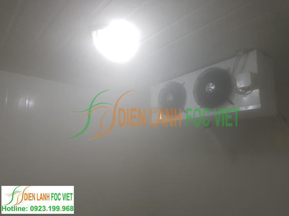 kho đông kho mát bảo quản trái cây