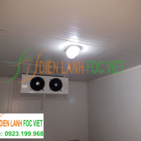 lắp đặt kho lạnh bảo quản dứa