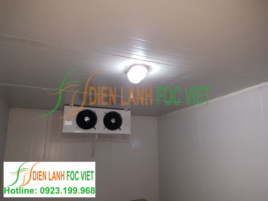 lắp đặt kho lạnh bảo quản dứa