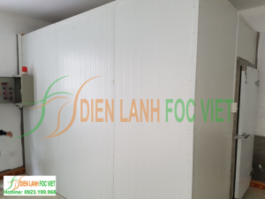 Kho lạnh bảo quản các thành phần máu
